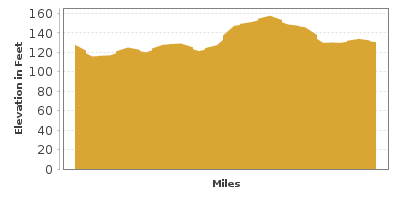 Elevation Graph for The Levee