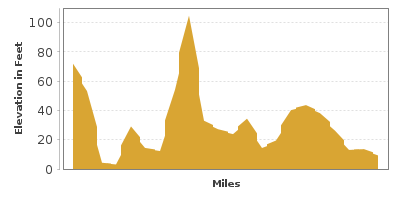 Elevation Graph for Cape Ann