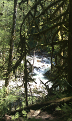 Wallace River in Wallace State Park