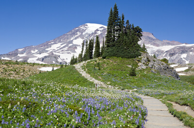 myscenicdrives.com backyard: Mount Rainier