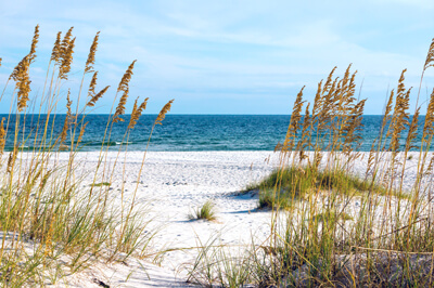 Turquoise water and white sand beaches beckon.