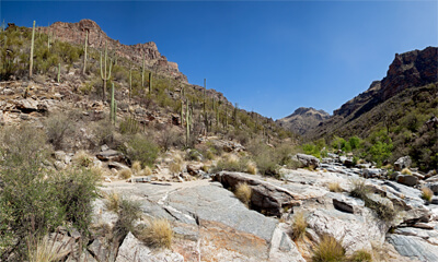 Bear Canyon