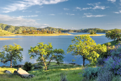 Lake Millerton