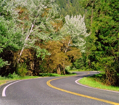 Curvy roads await along Highway 12.