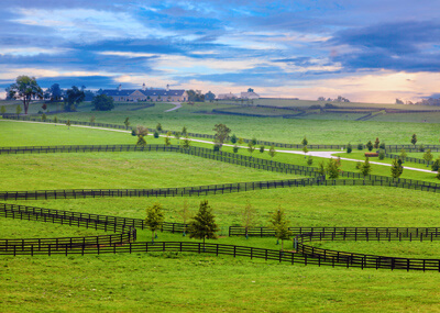 Along the Old Frankfort Pike