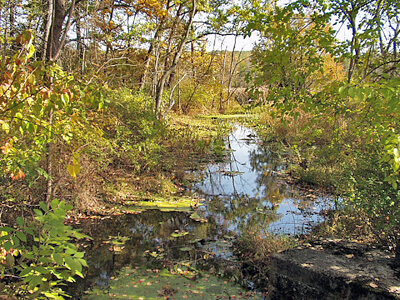 Along the Wallkill