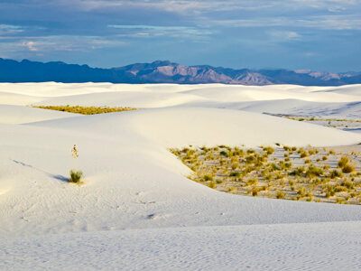 White Sands National Monument