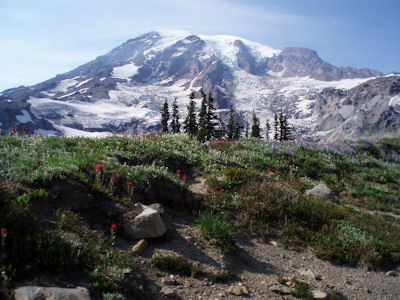 Mount Rainier