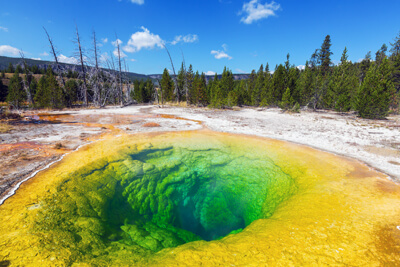 Morning Glory Pool